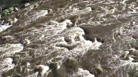 Summer rough river. Stock Footage 69094201