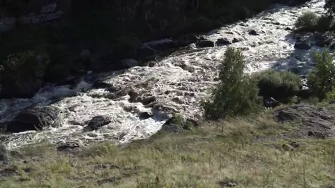 Summer rough river. Stock Footage 69094202