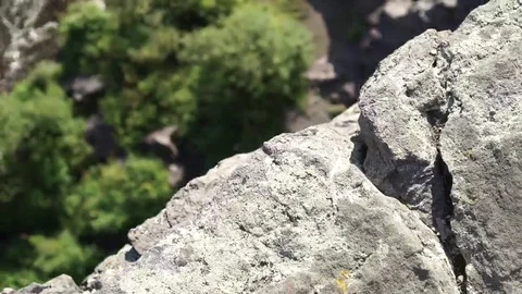 Summer rough river. Stock Footage 69094209