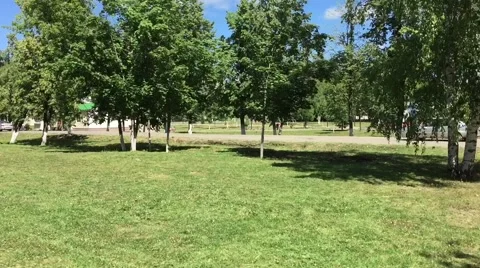 Summer rural landscape Stock Footage 64652059