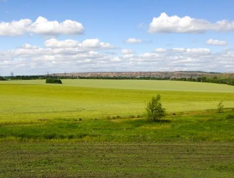 Summer rural landscape Stock Photos