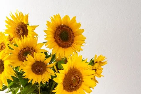 Summer rustic bouquet Stock Photos