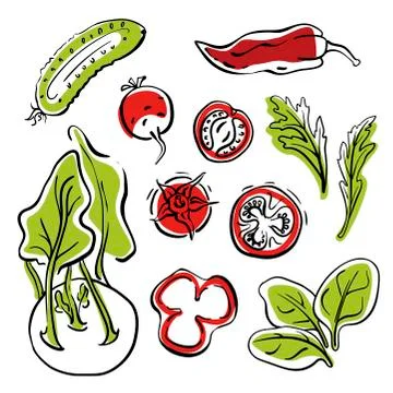 Summer salad ingredients. Hand drawn vector vegetable icons Stock Illustration