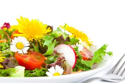 Summer salad Stock Photos
