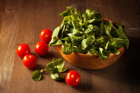 Summer salad Stock Photos