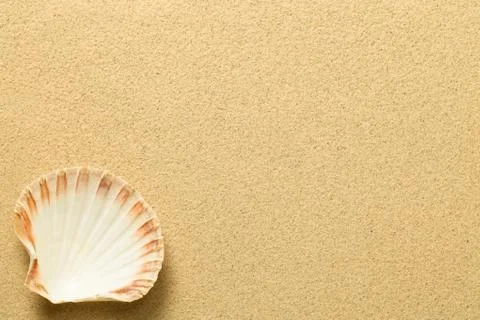 Summer, Sand Background with Shell Stock Photos