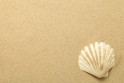 Summer, Sand Background with Shell Stock Photos