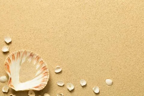 Summer, Sand Background with Shells Stock Photos