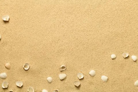 Summer, Sand Background with Shells Stock Photos