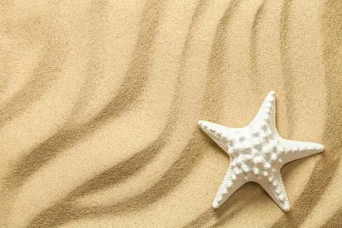Summer, Sand Background with Starfish Stock Photos