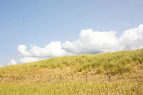 Summer Sand Dunes Stock Photos