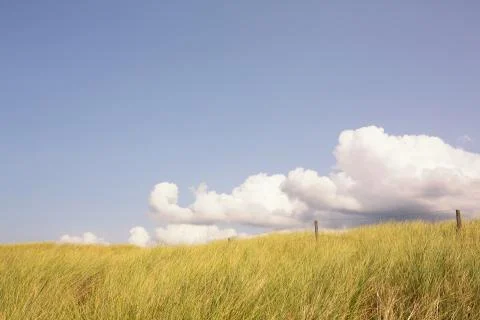 Summer Sand Dunes Stock Photos