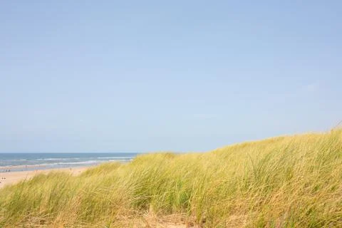 Summer Sand Dunes Stock Photos