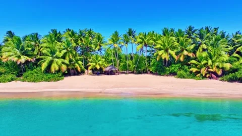 Summer sandy beach with coconut palms and turquoise ocean on a paradise island. Stock Footage 310396370