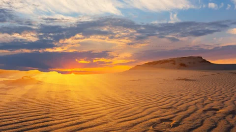Summer sandy desert scene at the sunset Video stock 321036154