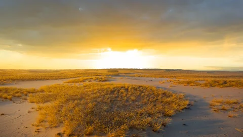 Summer sandy prairie at the sunset Stock Footage 242505829