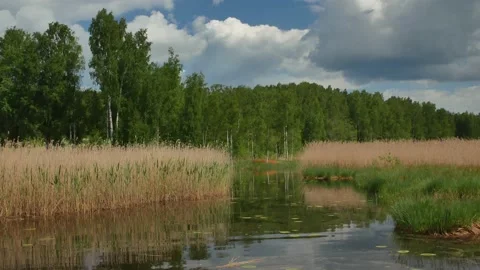 Summer scene, Finland Stock Footage 197351439