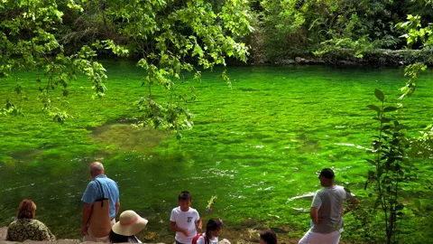 Summer scene Stock Footage 170003437