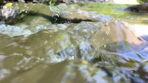 Summer scene. Forest stream close-up running water, filmed in slow motion Stock Footage 194896751