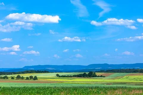 Summer scene with grain fields an d view to the swabian alb Stock Photos