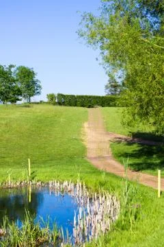 Summer scene Stock Photos