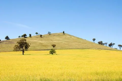 Summer Scene Stock Photos