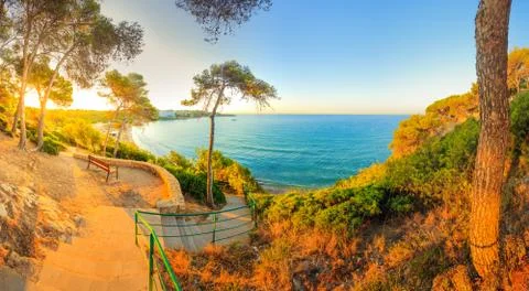 Summer scene Stock Photos