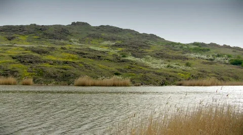 Summer scenery Stock-Footage 376009