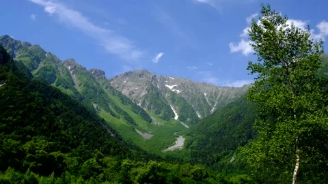 Summer scenery, Hotaka mountain range and white birch swaying in the wind, .. Stock Footage 328345024
