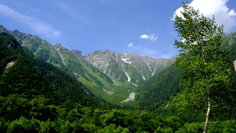 Summer scenery, Hotaka mountain range and white birch swaying in the wind, .. Stock Footage 328345097