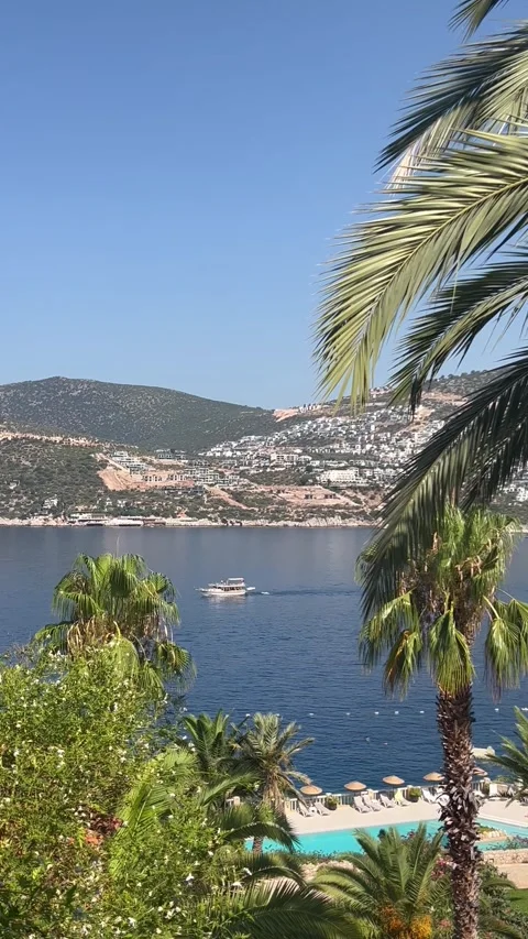 Summer scenery with palm tree and boat in the sea Stock Footage 337137699