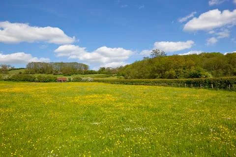 Summer scenery Stock Photos