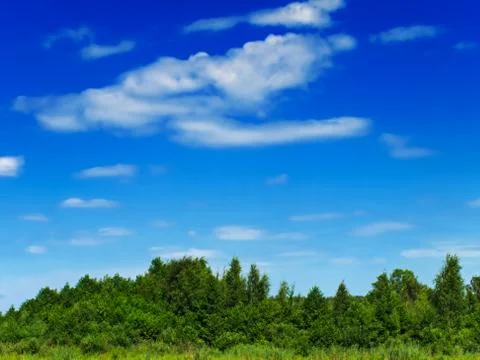 Summer scenery Stock Photos