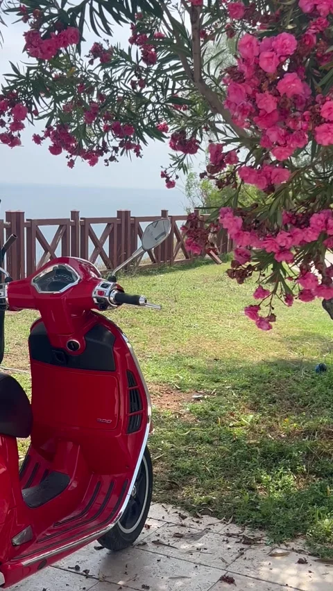 Summer scenery with red scooter under oleander flowers in an island Stock Footage 336953586