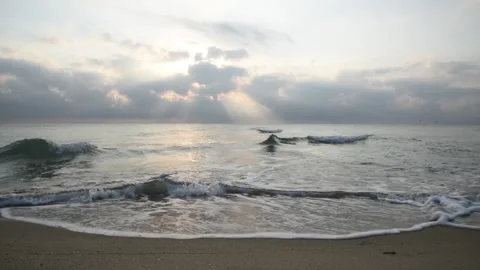 Summer scenes sea Stock Footage 136459313