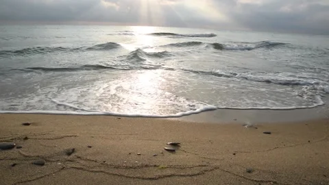Summer scenes sea Stock Footage 136459493