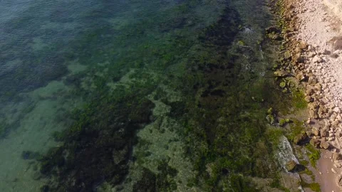 Summer scenes sea Stock Footage 138440813