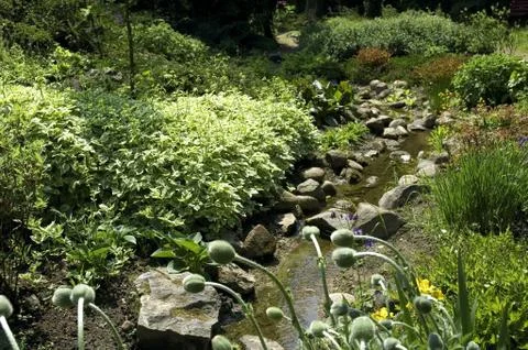 Summer scenic. river Stock Photos