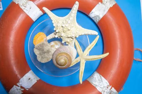 Summer sea background - shells and corals on a blue background. Beautiful exotic Stock Photos