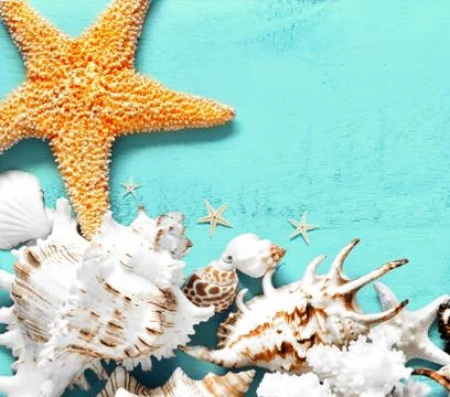 Summer sea background - shells, star on a wooden blue background Foto stock