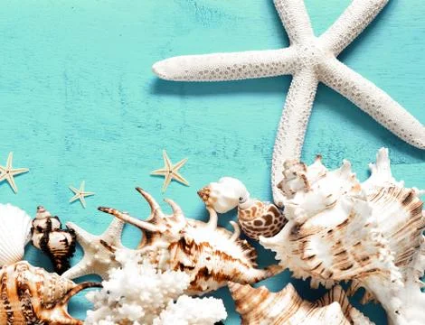 Summer sea background - shells, star on a wooden blue background Stock Photos