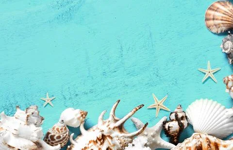 Summer sea background - shells, star on a wooden blue background Stock Photos
