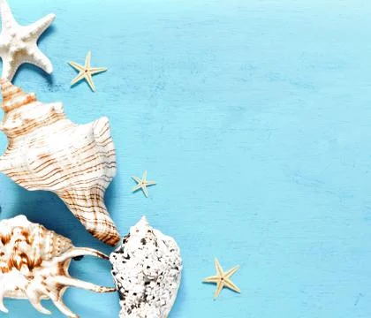 Summer sea background - shells, star on a wooden blue background Stock Photos