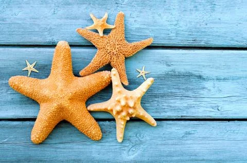 Summer sea background - shells, star on a wooden blue background Stock Photos