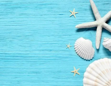 Summer sea background - shells, star on a wooden blue background Stock Photos