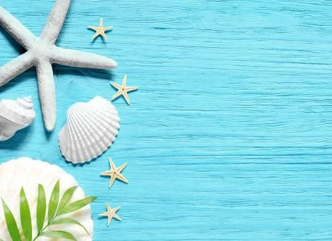 Summer sea background - shells, star on a wooden blue background Stock Photos