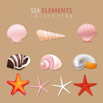 Summer sea elements illustration design Stock Illustration