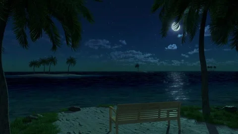 Summer sea landscape with bench between palm trees - night Stock Footage 339062810