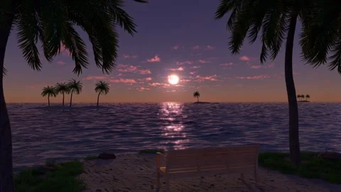 Summer sea landscape with bench between palm trees - sunset Stock Footage 339062812