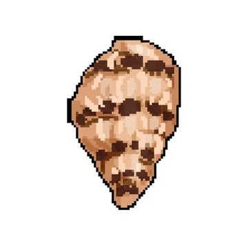 Summer sea shell pixel art vector illustration イラスト素材